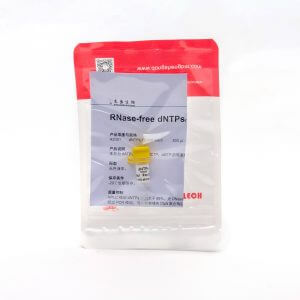 RNase-free dNTPs（R2051） dATP、dTTP、dCTP、dGTP的等摩爾混合物。